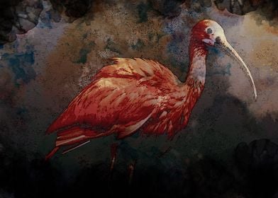 Flamingo Paintings