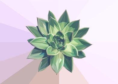 Low Poly Green Succulent