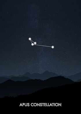 Apus Constellation