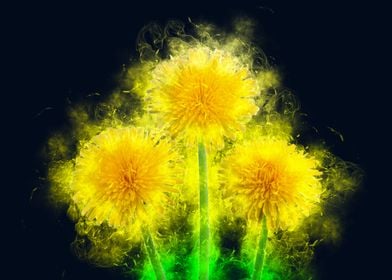 yellow dandelion smoky