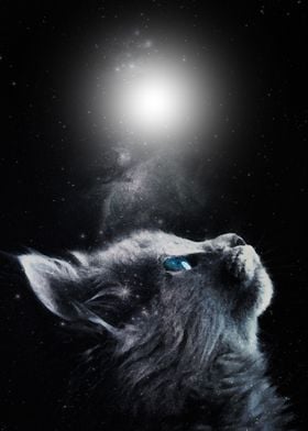 Moon cat