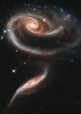 A rose made of galaxies