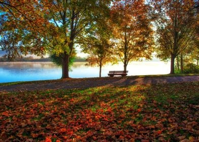 Beautiful park in the fall