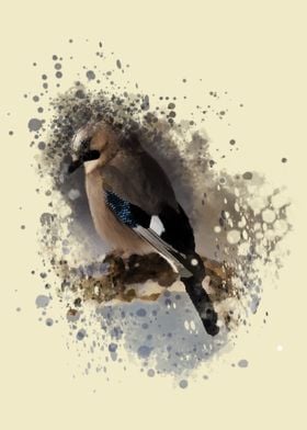 bird watercolor