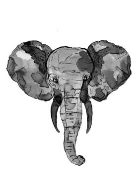 Grey African Elephant Head