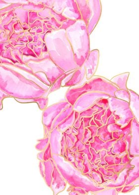 Sally peonies in pink