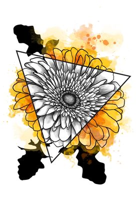 Gerbera Prism