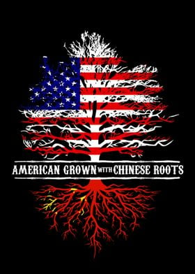 Chinese roots 