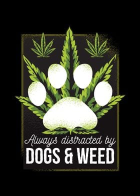 easily distracted by dogs and weed