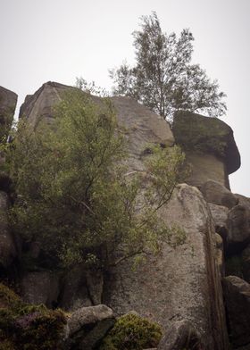 Ilkley Moor Landscape