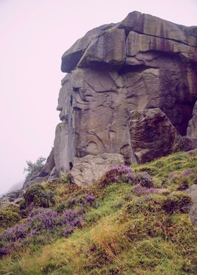 Ilkley Moor Landscape