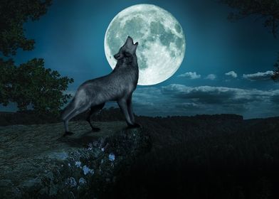 Wolf Howling on moon 