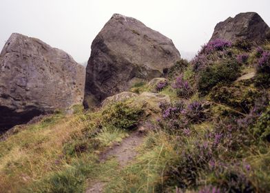 Ilkley Moor Landscape