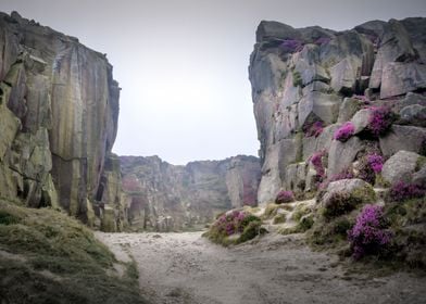 Ilkley Moor Landscape