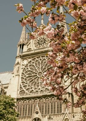 Notre Dame Spring