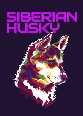 Siberian husky