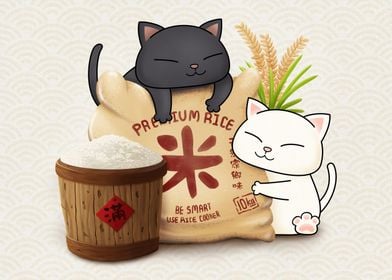 Chubby Cat Rice Lover