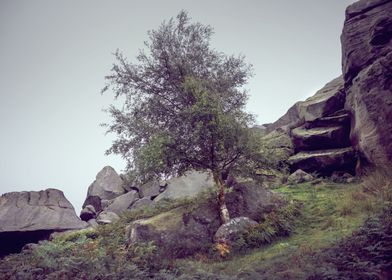 Foggy West Yorkshire