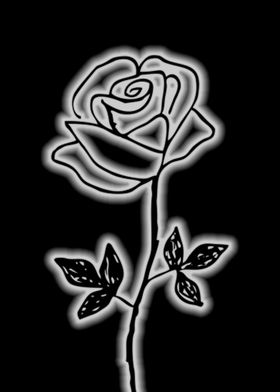 single rose