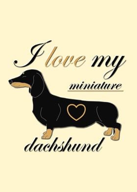 I love my mini dachshund