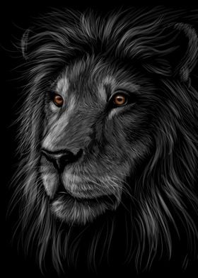 Lion Sketch