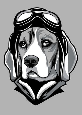 Pilot Beagle Dog