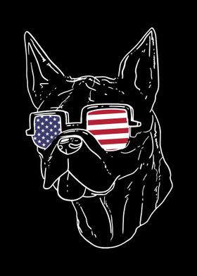 Boston Terrier Dog USA Fla