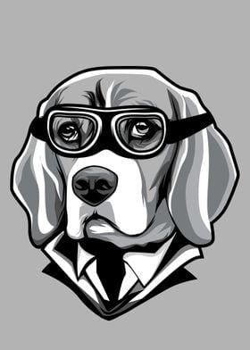 Scientist Beagle Dog