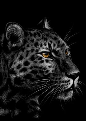 Leopard Sketch