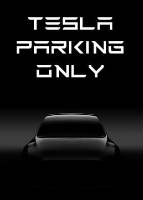 Tesla Parking