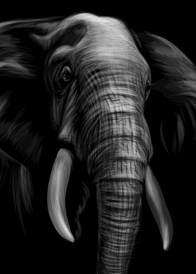 Elephant Sketch