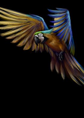 Macaw