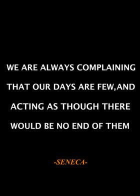 Seneca Qoute