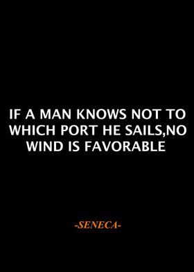 Seneca Qoute