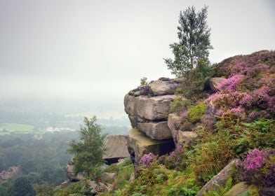 Foggy Landscape