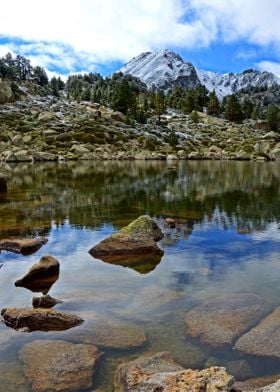 Andorran Glacier