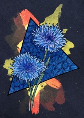 Cornflower Dark