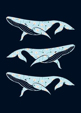 Daisies Whales