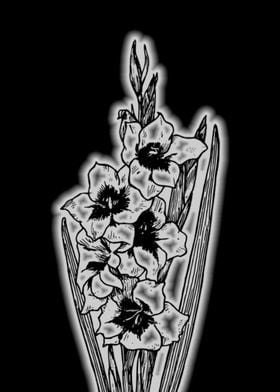 Gladiolus Flower 