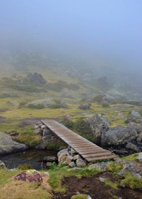 Foggy Bridge