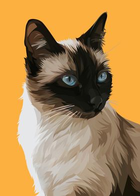 Siamese Cat