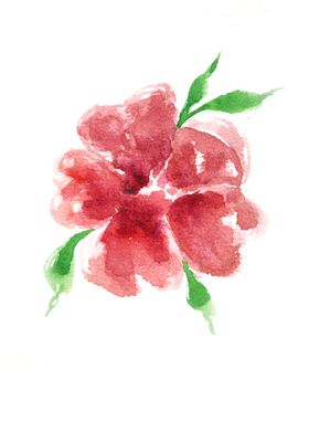 Botanical Watercolor