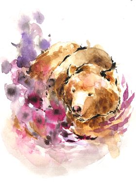 Bear Animals Watercolor