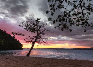 Madagascar Landscape