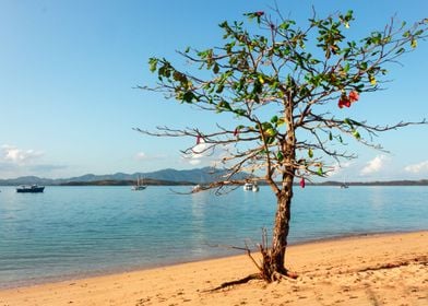 Madagascar Landscape