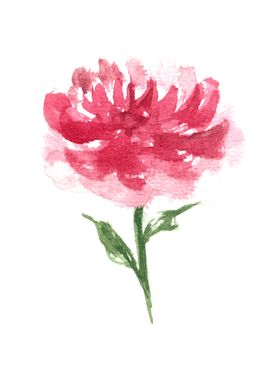 Botanical Watercolor