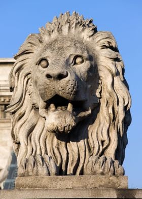 Budapest Chain Bridge Lion