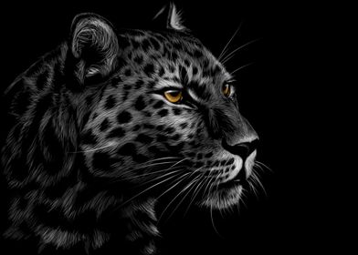 Leopard Sketch