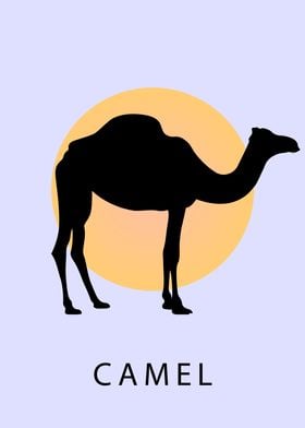 Silhouette of Camel