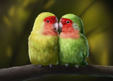 Lovebirds agapornis
